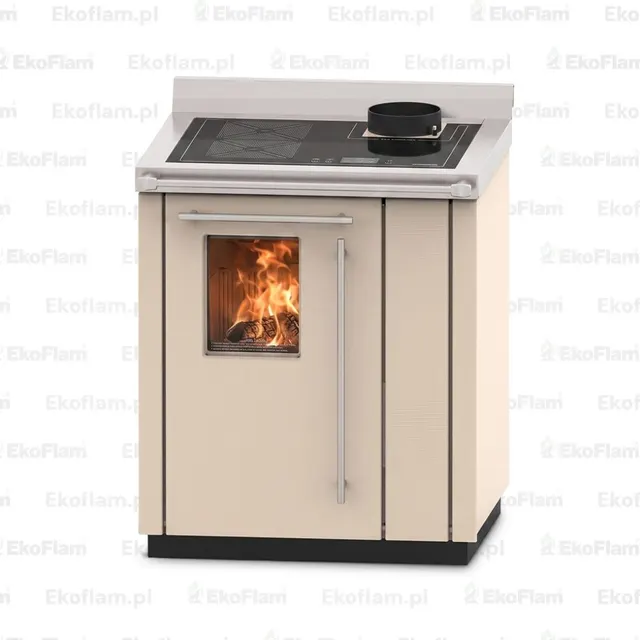 Wood-burning cooker Thermorossi Bosky 30 Square RtS steel beige