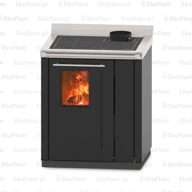Wood-burning cooker Thermorossi Bosky 30 Square RtS steel black