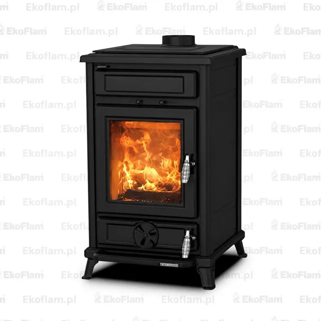 Wood-burning stove Thermorossi Filo