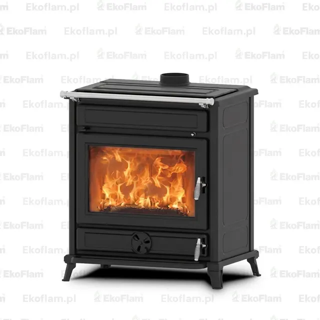 Wood-burning stove Thermorossi Agora